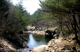 백화산