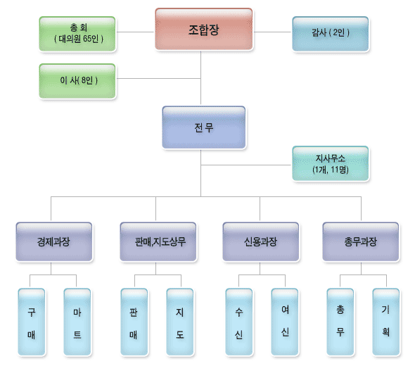 조직도